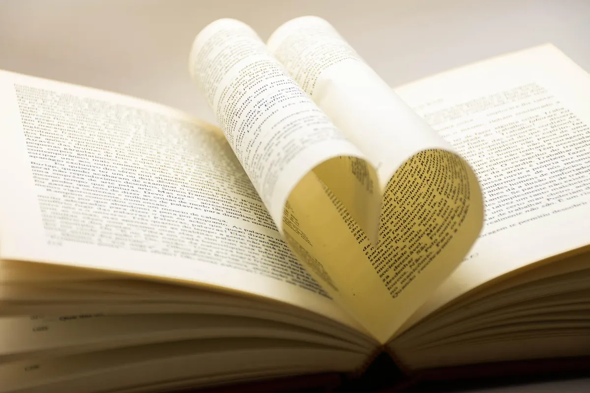 A Beginner's Guide to Poetry Collections: Where to Start and How to Read Them